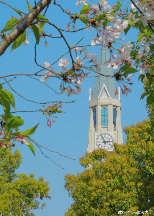 华东政法大学考研壁纸