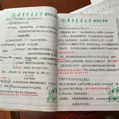 医学生考研总结