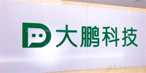 知金大鹏教育科技工资怎么样