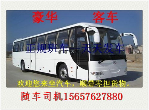 酉阳到重庆汽车票
