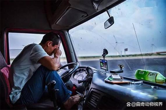 汽车高速溅水