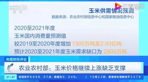 东川信息网