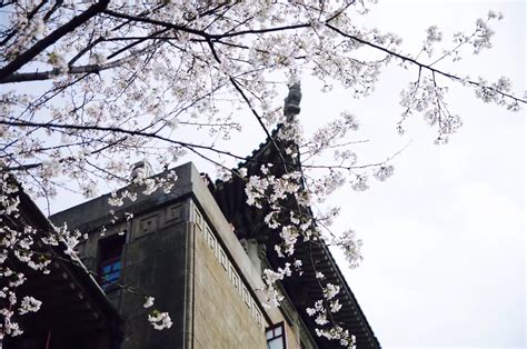 珞珈武汉大学考研网