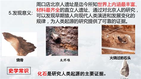 外国史前美术及古代美术