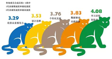 学前教育教学活动设计与实施作文题目