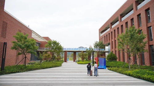 青岛大学考研招生办电话