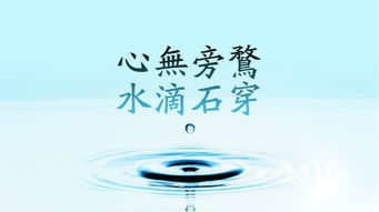 考研家教一对一多少钱