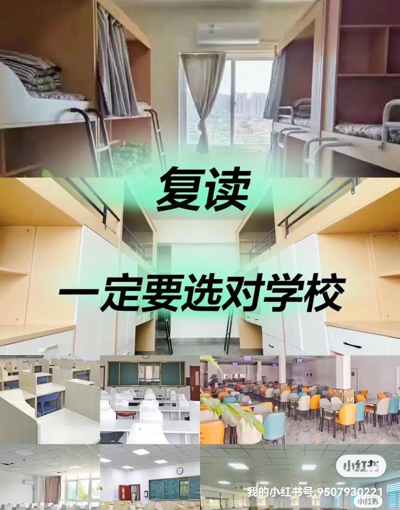 美术生选择复读还是专升本