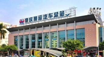 蕉岭汽车站官网