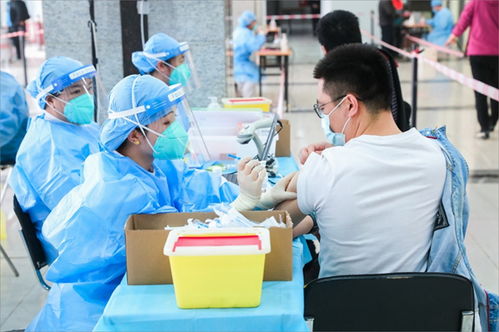 什么是生命化教育的内容