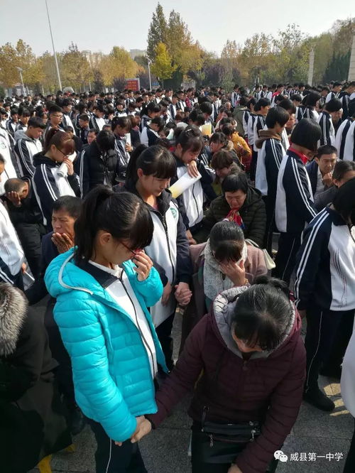 关于感恩教育的演讲稿一等奖