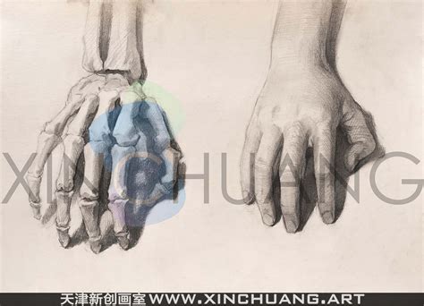 天津美术学院考研成绩查询