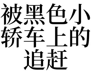 梦到追车没追到