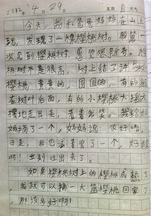 文学作品贴近生活作文600字