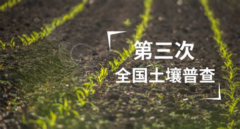 土壤相关的考研方向有哪些