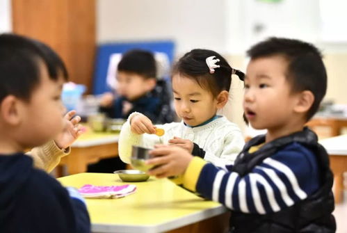 学前教育出来能干什么