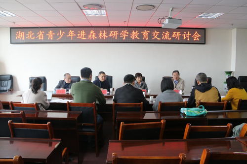 湖北省教育厅王金涛