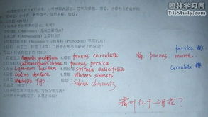 曲师大附近的考研机构