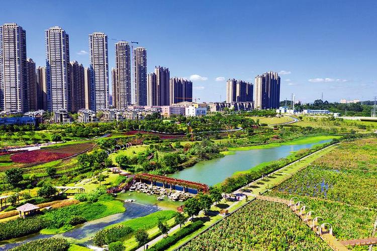 创文进行时:植绿护绿,营造优美舒适的绿化环境