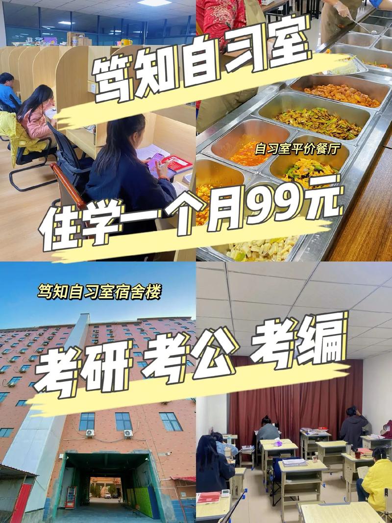 专升本后考公考编首选公共管理专业的优势与前景