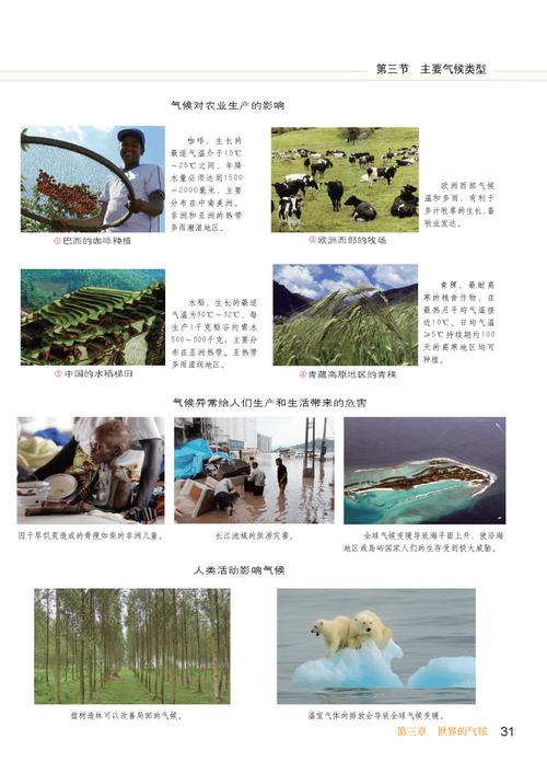 探索微观世界的奥秘仁爱科普版初中化学电子课本全解析