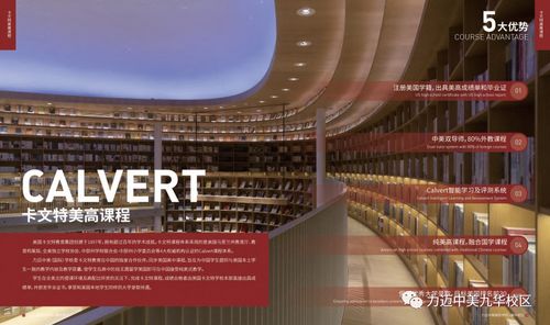 上海长宁区国际高中招生概览学费与升学方向全面解析