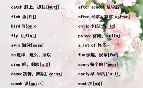 小学必背英语知识点