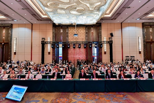 精准把握学术升学的时间点全面发展的关键步骤