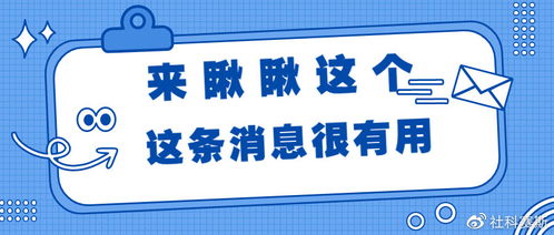 低分高录现象解析国际本科教育的真实面貌