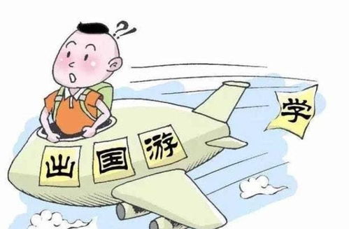 留学投资的权衡百万花费与回国月薪的现实考量