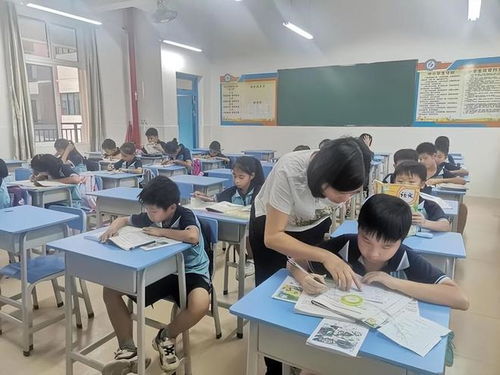 双减政策下的课堂教育走向何方？