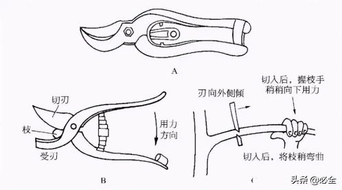 职业化浪潮下的幼儿教育不养闲娃的新趋势？