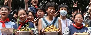 光谷新篇章国企公办连锁幼儿园的崛起与未来展望