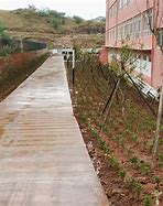 1.厚植绿色理念