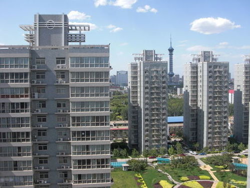 石家庄市中考志愿填报