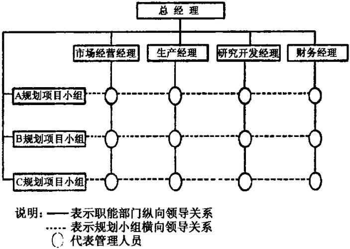 什么叫矩阵式管理
