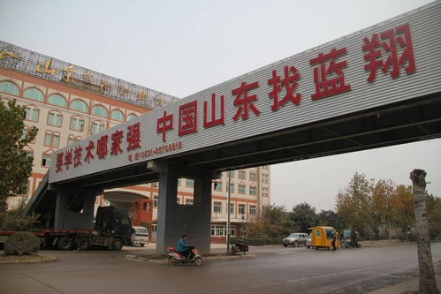 河南挖掘机学校专业培训挖掘机操作的教育平台