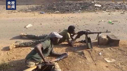 苏丹冲突双方在该国西部地区交火造成至少名平民死亡