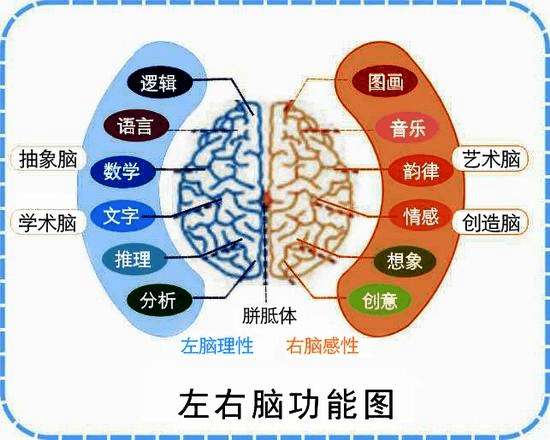 右脑之谜创意的觉醒