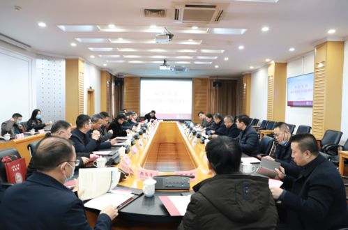1.商业计划概述