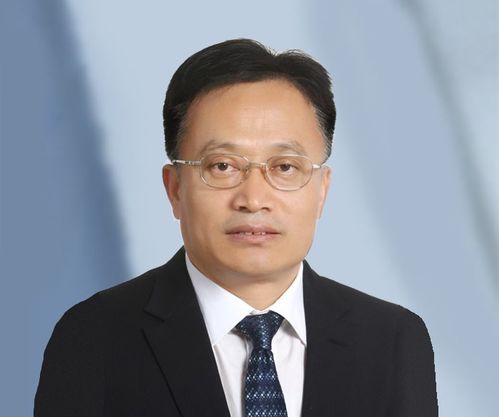 任职年月新沃基金副总经理陈乐华离任