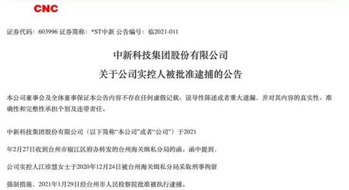 九有：控股孙公司房产被预查封