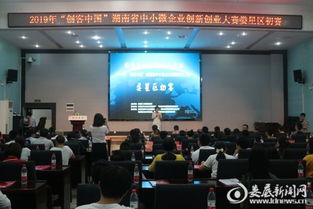 闵杰：中国存量企业中，小微企业占比大