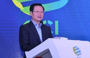 科林电气：选举陈维强为公司董事长