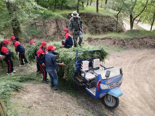 券结基金成长的烦恼