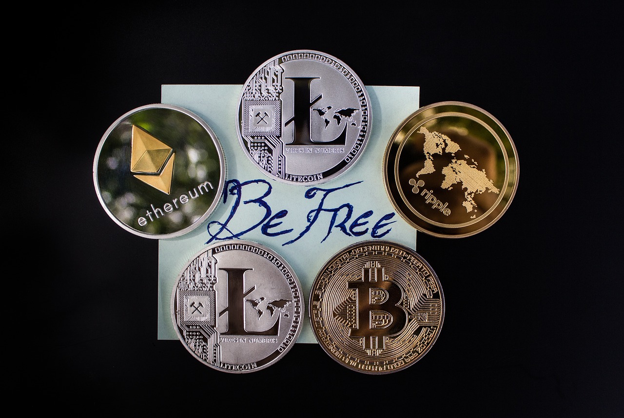探索石家庄外教世界，提升英语能力的新窗口