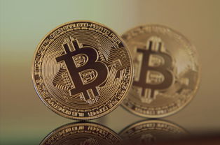 雅思备考达人带你揭秘，全面解析雅思报名费用及价值投资策略