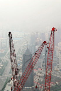 2021年的金静音: 黄金大跳水背后的市场风暴与启示