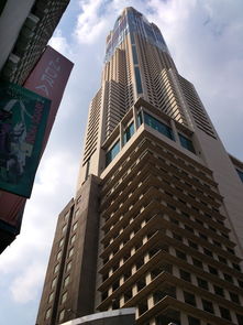 探秘城市绿洲，上海社保咨询，您的生活保障指南