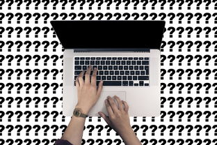 掌握关键，深度解析重庆社保查询全攻略